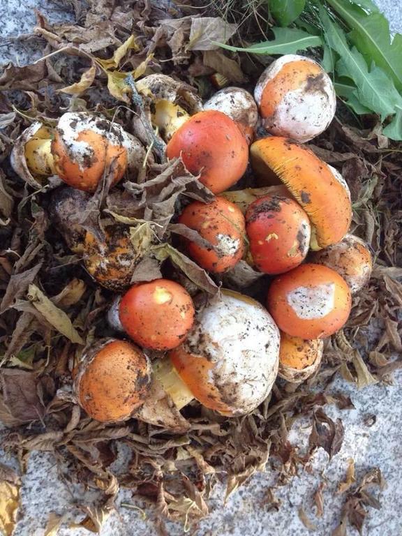 Posada Real La Pascasia Puebla de Sanabria Zewnętrze zdjęcie